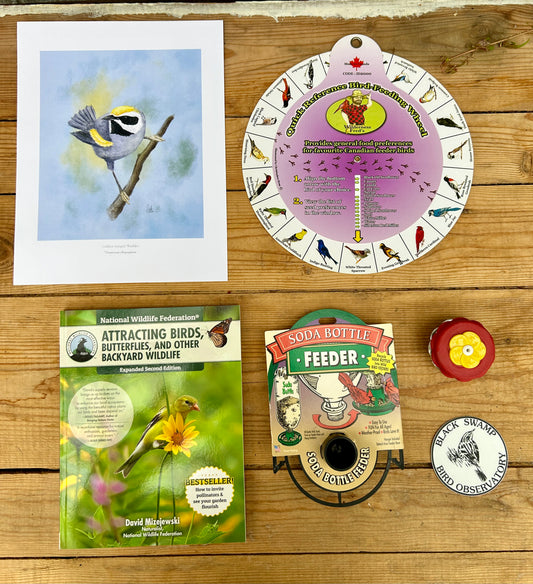 Backyard BRDR Bundle