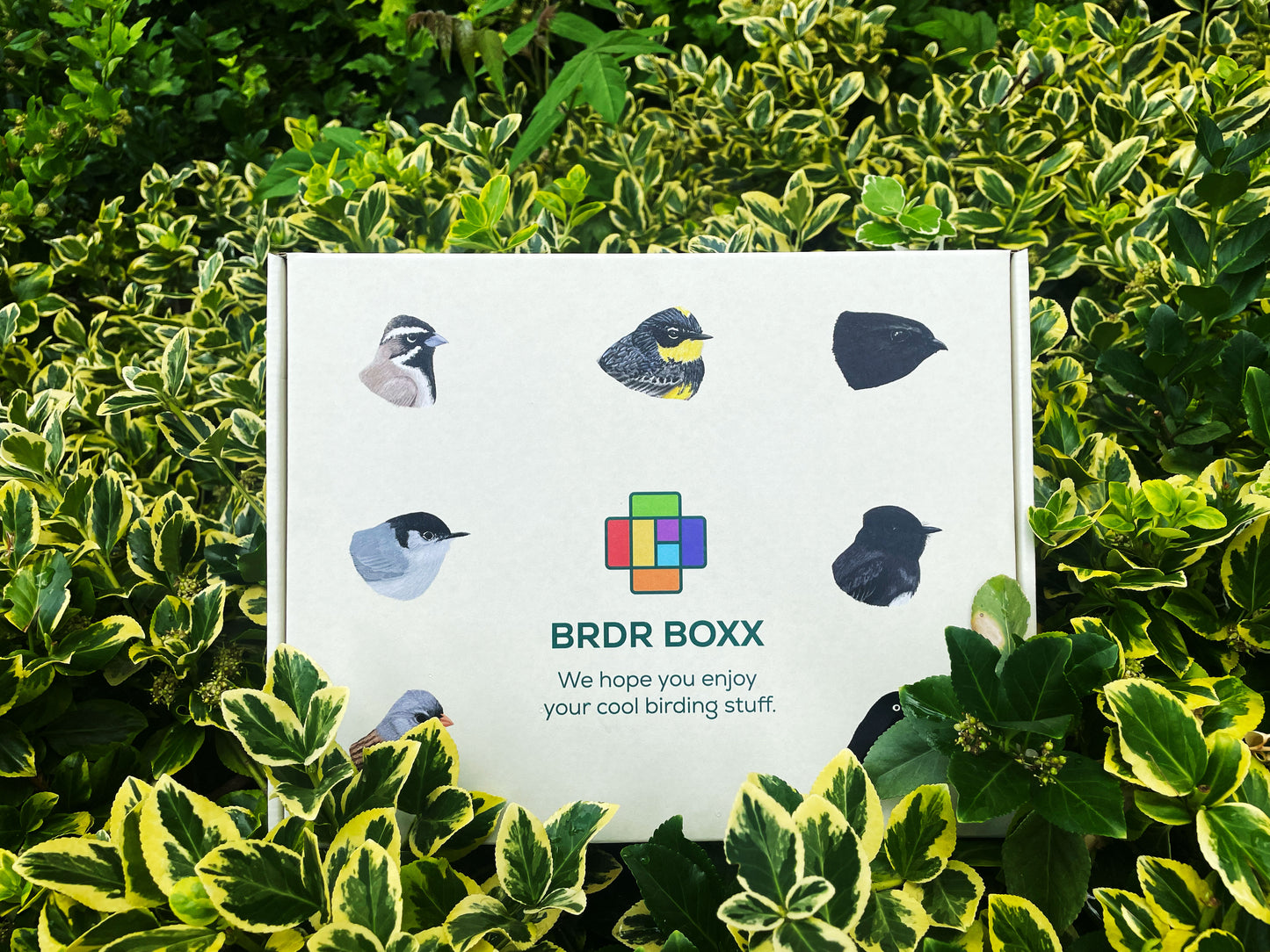 birding subscription box